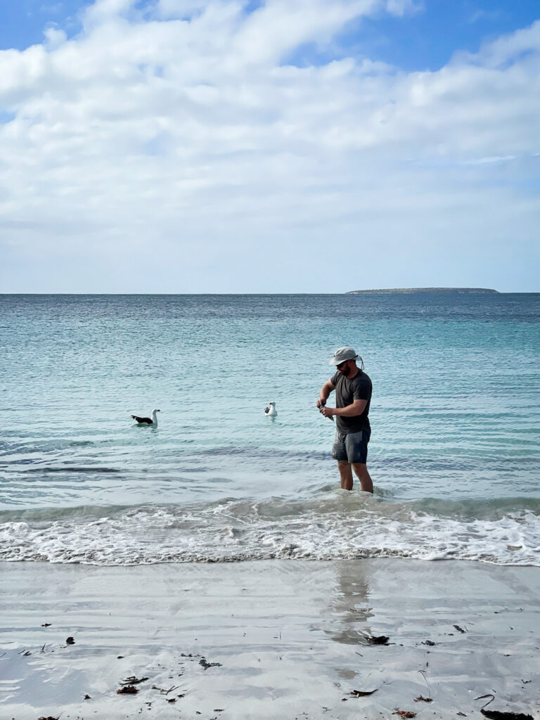 Memory Cove, Eyre Peninsula, South Australia